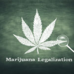 Marijuana leaf with maginfying glass Marijuana leaf with maginfying glass