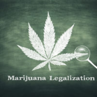 Marijuana leaf with maginfying glass Marijuana leaf with maginfying glass