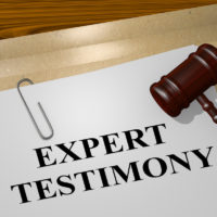 Expert testimony case form with gavel on top
